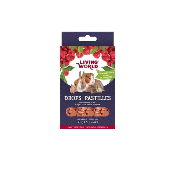 Living World Pastilles-Régals pour Petits Animaux Arôme de Framboise,75g