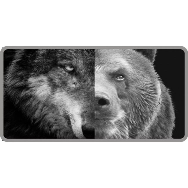 Demi-loup Moitié Ours Photo License Plaque