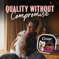thumbnail image 4 of Cesar Filets in Sauce Prime Rib Flavour Soft Wet Dog Food, 4 of 9