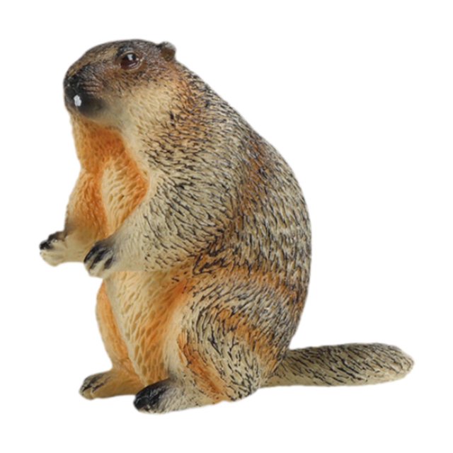 TISHITA Marmottes Figurine d'Action Décorative Mini s Sculpture pour Enfants Garçons Filles Debout