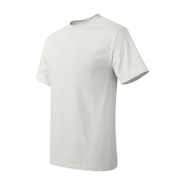 Hanes Men's Authentic-T T-Shirt - 5250T (Pack Of 3)