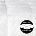 thumbnail image 3 of Nicole Miller Canadian White Down Duvet, 3 of 8