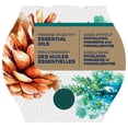 thumbnail image 3 of Glade® chandelle parfumée, Pin et cèdre, 3 of 5