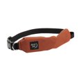 thumbnail image 2 of RadDog™ All-In-One Collar + Leash - Large - Red, 2 of 6