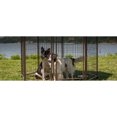 thumbnail image 3 of Advantek Animal de Compagnie 5 Pieds Concepteur Marché Couvert, Sable de Plage, 3 of 3