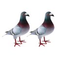 thumbnail image 4 of Langgg Simulation Foam Model Party Favors 2pcs Bird Foam Gifts Artificial Easter 2 pcs Style A, 4 of 4