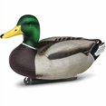 thumbnail image 2 of DOA Decoys Refuge Series Mallards 6 Pack 450025, 2 of 4