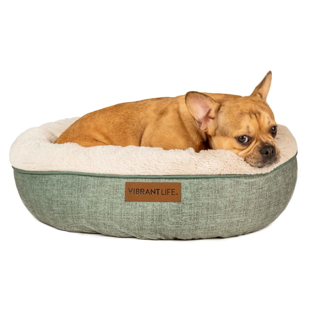 Vibrant Life Lit pour Chien Rond Dreamer, Petit, 22 X 22 Pouces, avec un Bouledogue Français Beige Se Reposant à l'Intérieur. le Lit Présente un Extérieur en Tissu Texturé Vert et un Intérieur en Peluche Crème Doux avec un Traversin Coussiné Tout Autour. Conçu pour les Petits Chiens jusqu'à 35 Lb, Il Offre un Espace Douillet Type Nid pour les Animaux Qui Se Blottissent et Est Lavable à la machine.