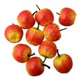 thumbnail image 3 of 10Pcs Miniature Simulation Super Small Apples Foam Plastic Home Decor，Red Apple, 3 of 11