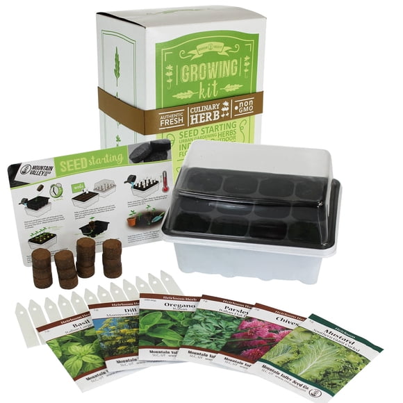 Kit de Départ de Jardin d'Herbes Culinaires d'Intérieur / Graines d'Herbes de Base / 6 Variétés Non OGM / Cultiver des Herbes et Épices de Cuisine / Graines : Basilic, Aneth, Persil, Ciboulette, Moutarde, Origan