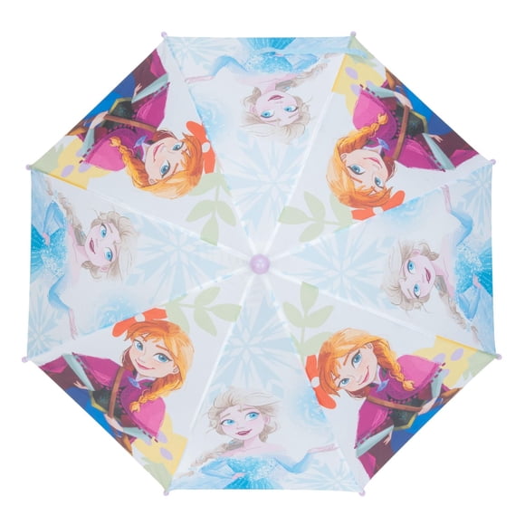 PARAPLUIE DE GLACE CONGELÉ