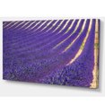 thumbnail image 2 of Lavender Blooming Fields as Texture - Oversized Landscape Wall Art Print, 2 of 3