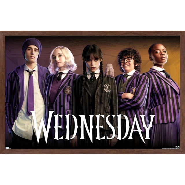 Wednesday - Group Wall Poster, 22.375" x 34"