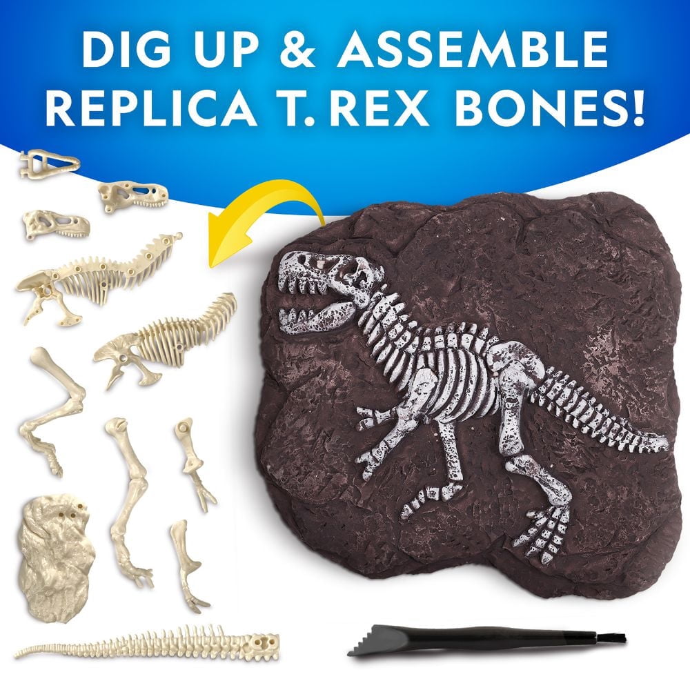 National Geographic Kit de fouilles Tyrannosaurus Rex de