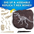 thumbnail image 4 of National Geographic Tyrannosaurus Rex Dig Kit, 4 of 5