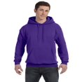 thumbnail image 1 of Hanes - Ecosmart Hooded Sweatshirt, 1 of 1