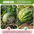 thumbnail image 3 of Melon  Stand, Round 10Pcs Reusable Decomposition Prevention Pumpkin Support   For Farm, 3 of 8