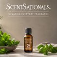 thumbnail image 4 of ScentSationals, 100% Essential Oil, Peppermint, 4 of 6