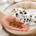 thumbnail image 4 of QIPOPIQ Puppy Plush Toy, Dog Stuffed Toy, 4 of 6