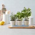 thumbnail image 2 of FRAÎCHE Spring Metal Herb Planter Set, 3 count, 2 of 4