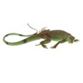 thumbnail image 3 of ziyahi Modèle Animal Simulation Jouets Éducatifs pour Enfants Lézard PL127-1334, 3 of 9