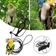 thumbnail image 3 of Parrot Oiseau Harnais Laisse Réglable Entraînement Corde Volant Sangles de Traction Bande, 3 of 4