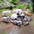 thumbnail image 3 of Figurines d'Animaux Réalistes Ensemble Enfants Tout-Petits Enfants, 3 of 8