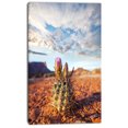 thumbnail image 2 of Large Cactus under Cloudy Sky - Floral Canvas Art Print, 2 of 3