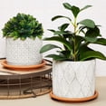 thumbnail image 2 of Plateaux en Plastique Type Soucoupe pour Pots, Robustes, Plateaux d'Égouttement pour Pots de Fleurs, Petits Plateaux Ronds de Récupération d'Eau, Soucoupe pour Intérieur, 2 of 7