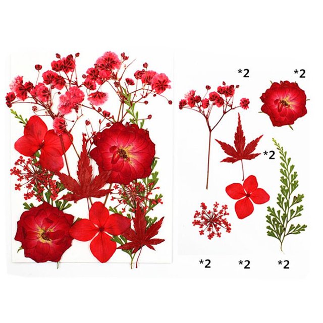 Natural Real Dried Flower Plants For Candle Epoxy Resin Jewelry Making Craft DIY