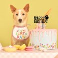 thumbnail image 3 of fastboy Happy Birthday Dog Pet Cake Plaque, 3 of 9