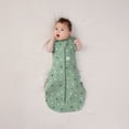 thumbnail image 2 of ergoPouch - Cocoon Swaddle Sack 1tog, 2 of 5