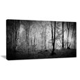 thumbnail image 2 of Beautiful Forest Morning, 2 of 3