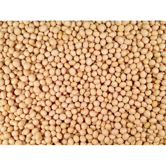 Organic Soya Beans - 24 Lbs
