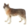 thumbnail image 4 of thinsony Simulation Animals Model Figure Kids Educational Toy Decor Brown Wolf, 4 of 8