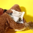 thumbnail image 5 of CUITING Electronic Interactive flying bird cat toy hanging pet flapping wings Sparrow, 5 of 5