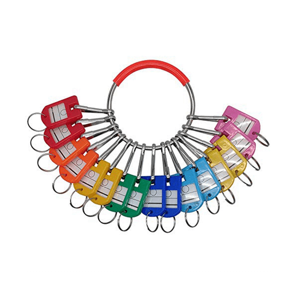 Portable Metal Ring Key Organizer with 16 Spring Hooks & Key Tags with Ring and Label Window,1 x Ring Key Organizer,Multicolor