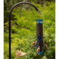 thumbnail image 2 of More Birds Jumbo Seed Songbird Feeder, 2 of 3