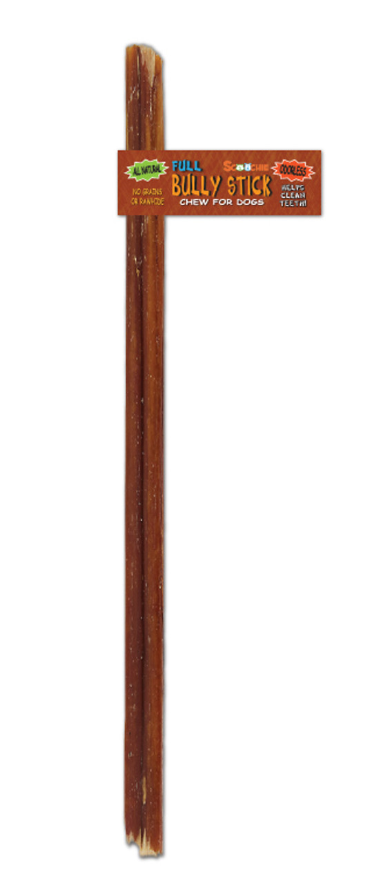 Baguette à Mâcher Complète de 36 Pouces avec Scoochie Bande pour Cigare/upc