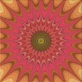 thumbnail image 1 of Ahgly Tapis d'Intérieur Lavable en Machine Carré Orange Transitionnel, 8 Pieds Carré, 1 of 7