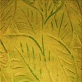thumbnail image 1 of Ahgly Tapis d'Intérieur Lavable en Machine Carré Transitionnel Bisque Foncé Marron, 6 Pieds Carré, 1 of 7