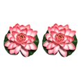thumbnail image 3 of QualitChoice Artificial Lotus Replacement Simulation Outdoor Garden Park Pond Pool Photography Fake Water Flower Decor Light Pink 2PCS, 3 of 6
