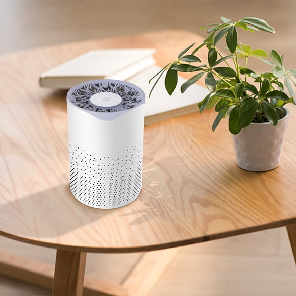 RKSTN Air Purifiers Air Purifier in Addition to Smoke and Dust in Addition to Second-Hand Smoke Formaldehyde Household Desktop Small Portable Air Disinfection Machine Household Supplies