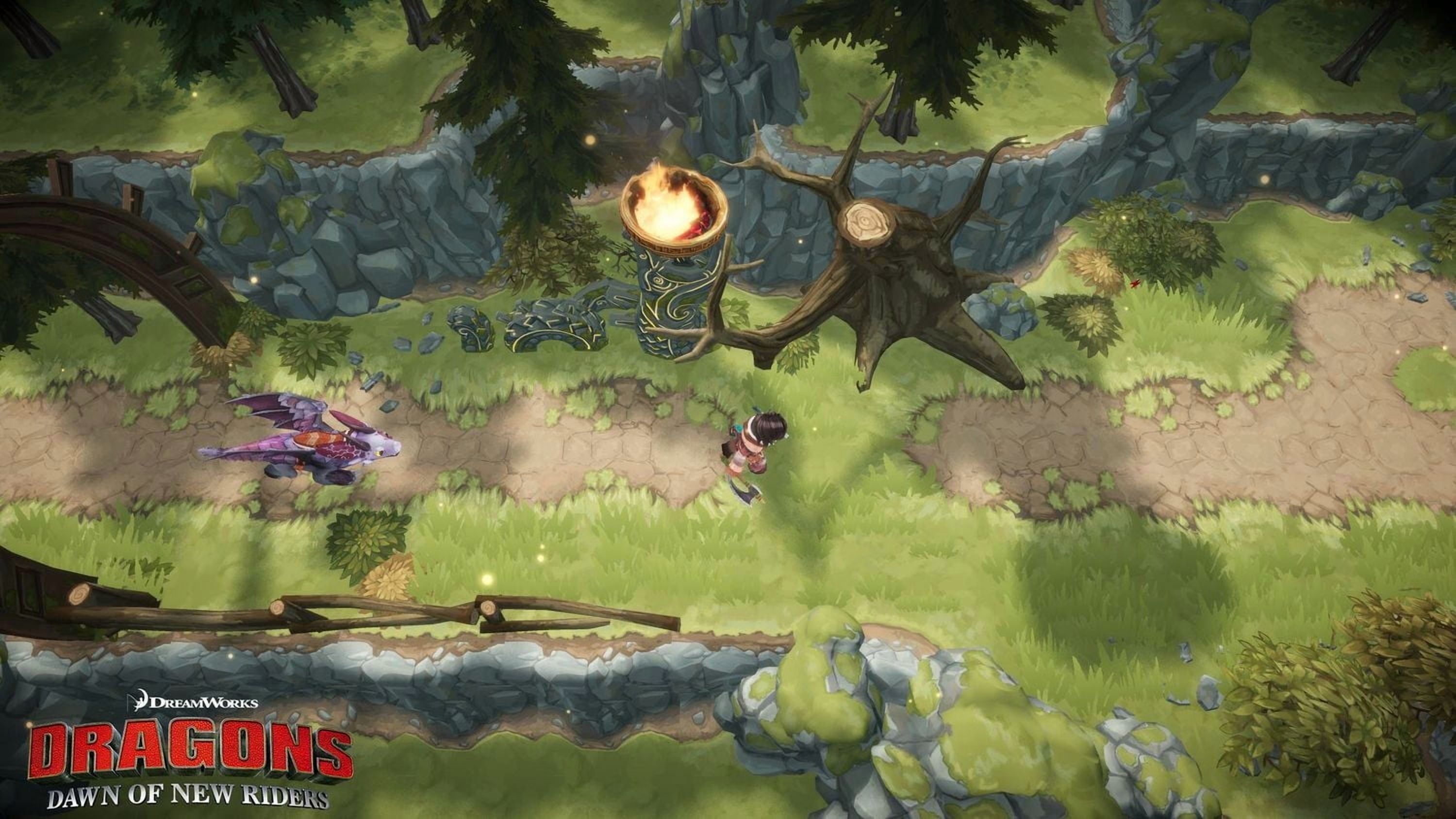 Dragons : L'aube des nouveaux cavaliers [Nintendo Switch]