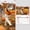 Pet Lovers Calendar Under $5 A25353, variant on Cagogo under $5 Pet Lovers Calendar, 2026 Pet Lovers Wall Calendar, 12 Monthly Photo A4 Hanging Calendar, Cute Animal Customized Home Office Gift, 29.7x21cm Thick Paper Desk Calendar