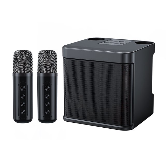 Thinsony Sing Like Pro Embedded Chip Intelligent Anti Howling Childrens Portable Bluetooth Speaker PA System black