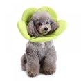 thumbnail image 1 of Recovery Pet Cone E-Collar for Cats Dogs Flower Soft Dacron Sponge Protective Collar, 1 of 8
