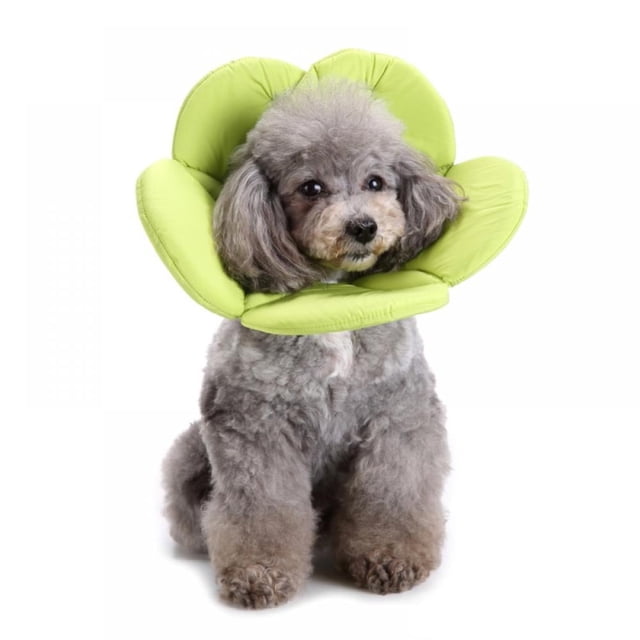 Recovery Pet Cone E-Collar for Cats Dogs Flower Soft Dacron Sponge Protective Collar