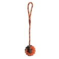 thumbnail image 1 of Milaget Pet Chewing Cotton Rope Care Puppy Bite Rubber Ball - Orange, 1 of 8
