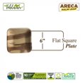 thumbnail image 2 of Sqaure Dinner, Salad Dessert Plate|Bio Mart Areca Palm Leaf Plate|Natural Eco-friendly Heavy Duty Re-usable Compostable Disposable Biodegradable Party, Wedding, BBQ & Catering |Pack of 10, 50 or 100, 2 of 4